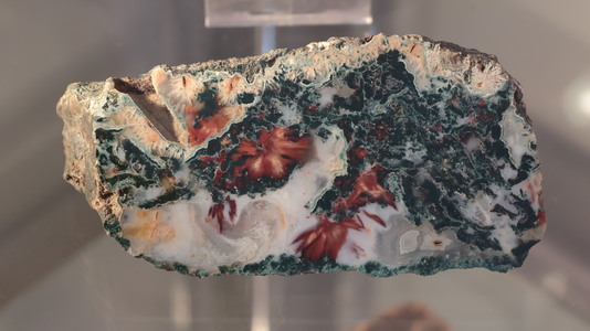 WYCIECZKA NA ZAMEK TENCZYN I DO ALWERNI | 19