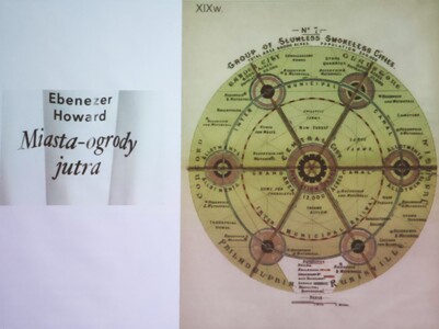 Czy jesteśmy skazani na cywilizację megaslamsów? - wykład dr n. hum. Marii Zrałek | 6