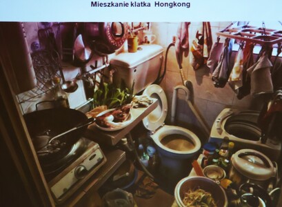 Czy jesteśmy skazani na cywilizację megaslamsów? - wykład dr n. hum. Marii Zrałek | 4