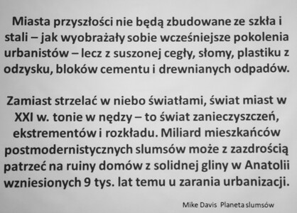 Czy jesteśmy skazani na cywilizację megaslamsów? - wykład dr n. hum. Marii Zrałek | 29