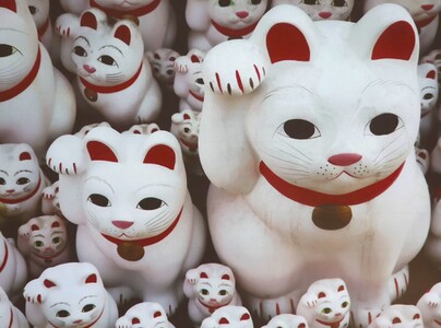 Japonia do zjedzenia - wykład mgr Jędrzej Majka | 38