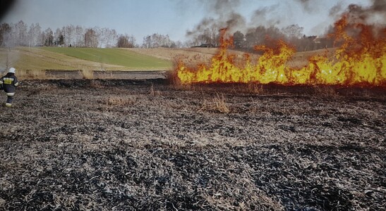 „Jak przygotować się na zagrożenia” | 12