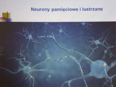 Emocjonalność mózgu, komunikacja empatyczna w wieku dojrzałym | 13