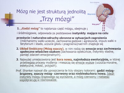Emocjonalność mózgu, komunikacja empatyczna w wieku dojrzałym | 18