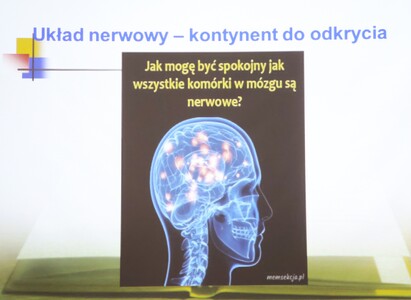 Emocjonalność mózgu, komunikacja empatyczna w wieku dojrzałym | 24