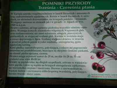 Wycieczka środowa – 16 września 2026 r. | 5