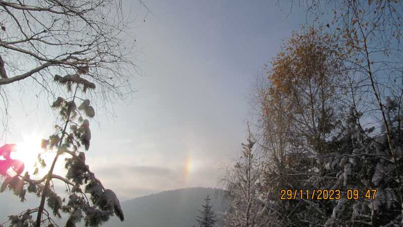 Trzonka 29 Listopad 2023 r.