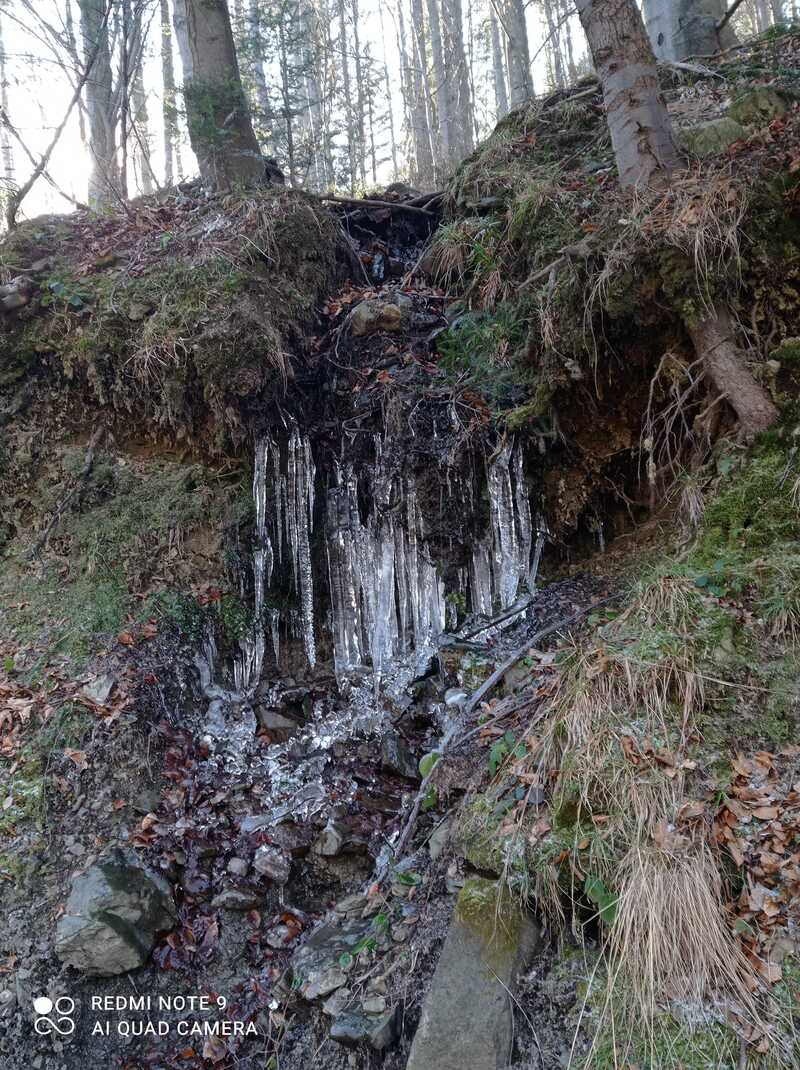 Leskowiec 05 luty 2025 r.