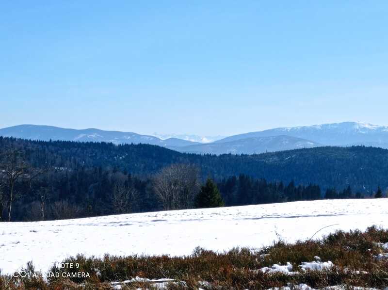 Wycieczka- Chatka Studencka pod Potrójną 05 Marzec 2025 r.