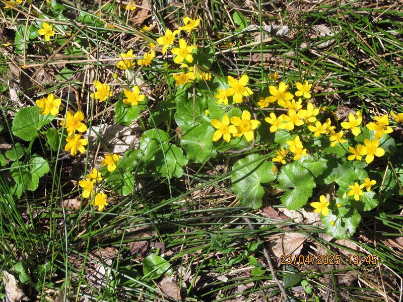 Spacer po Beskidzie Małym Potrójna