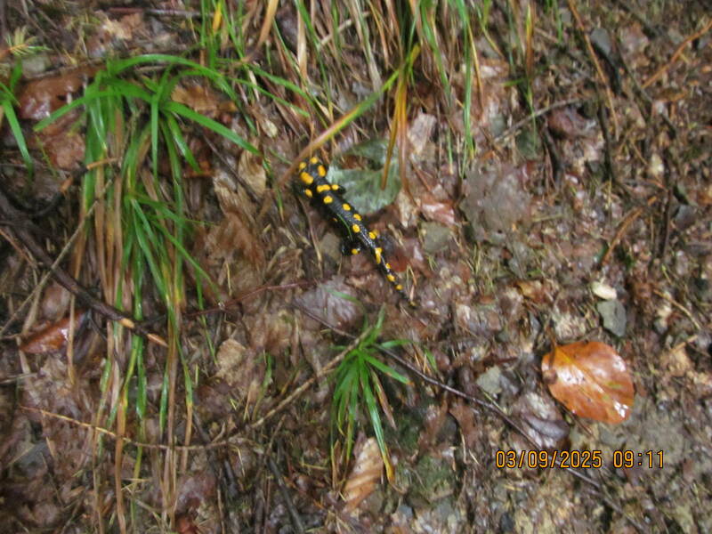 Wycieczka Szyndzielnia Chata Wuja Toma 03.09.2025 r.