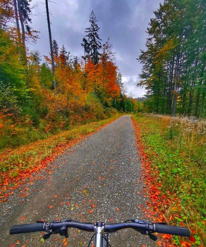 Informacja wycieczka rowerowa