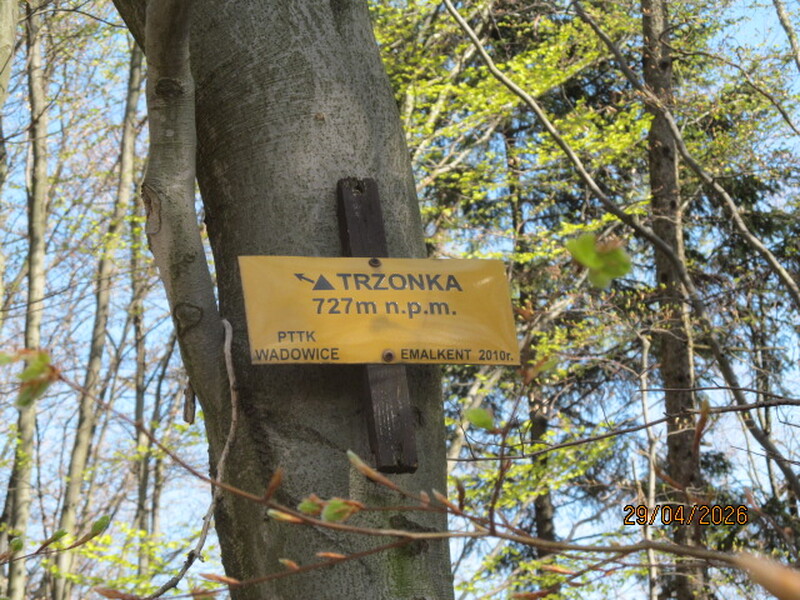 Trzonka - Porąbka 29 Kwiecień 2026 r.
