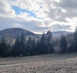 Bukowiec - Trzonka 29 Styczeń 2025 r. wycieczka turystyczna