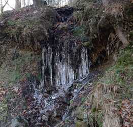 Leskowiec 05 luty 2025 r.