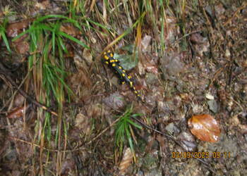 Wycieczka Szyndzielnia Chata Wuja Toma 03.09.2025 r.