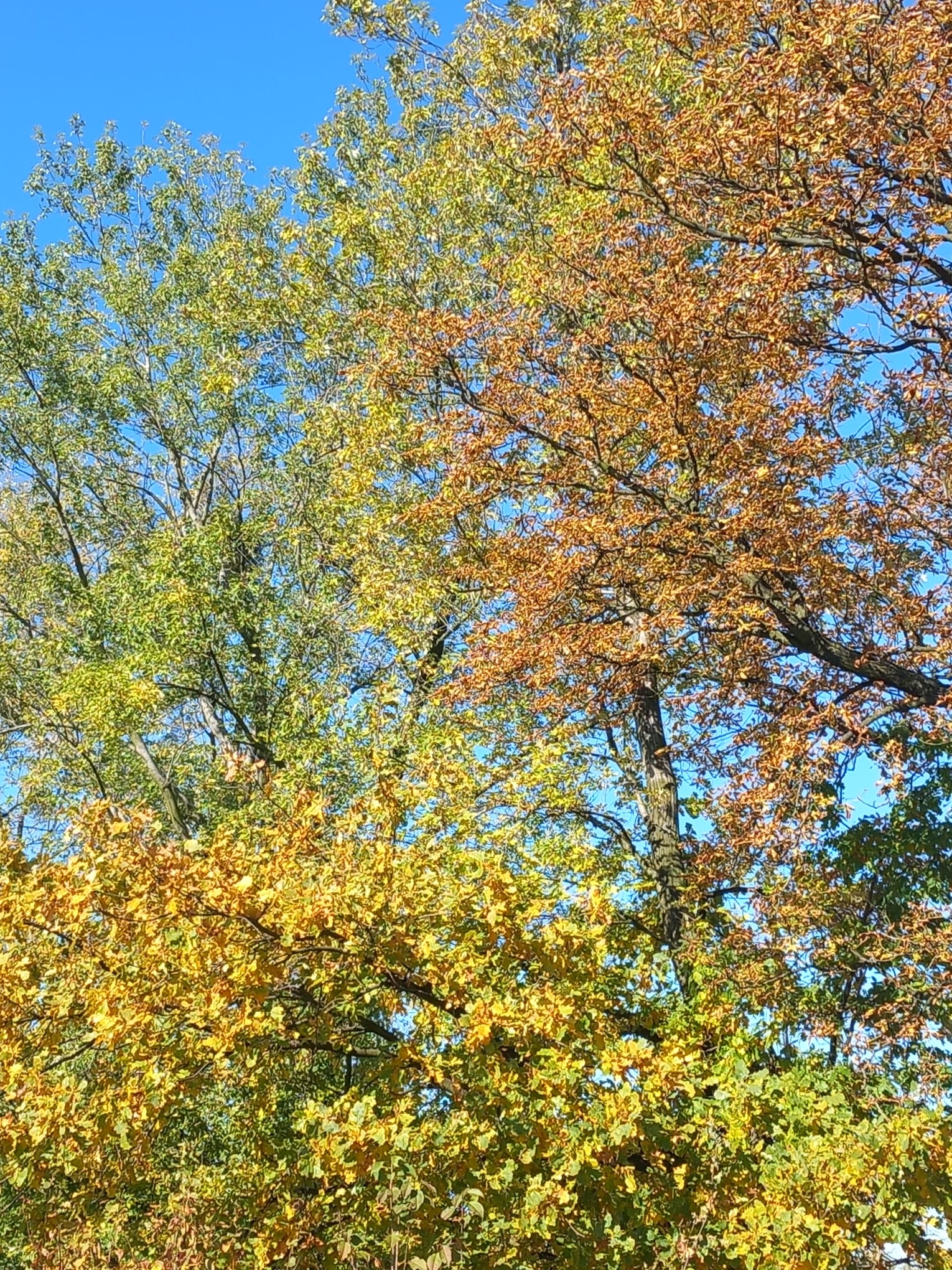 Sekcja rowerowa 20.X.25r -wycieczka