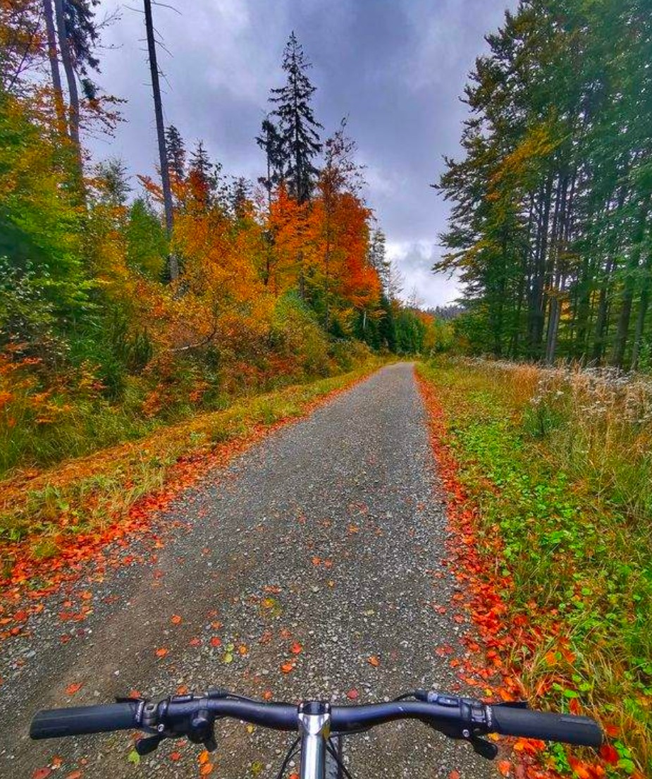 Informacja wycieczka rowerowa