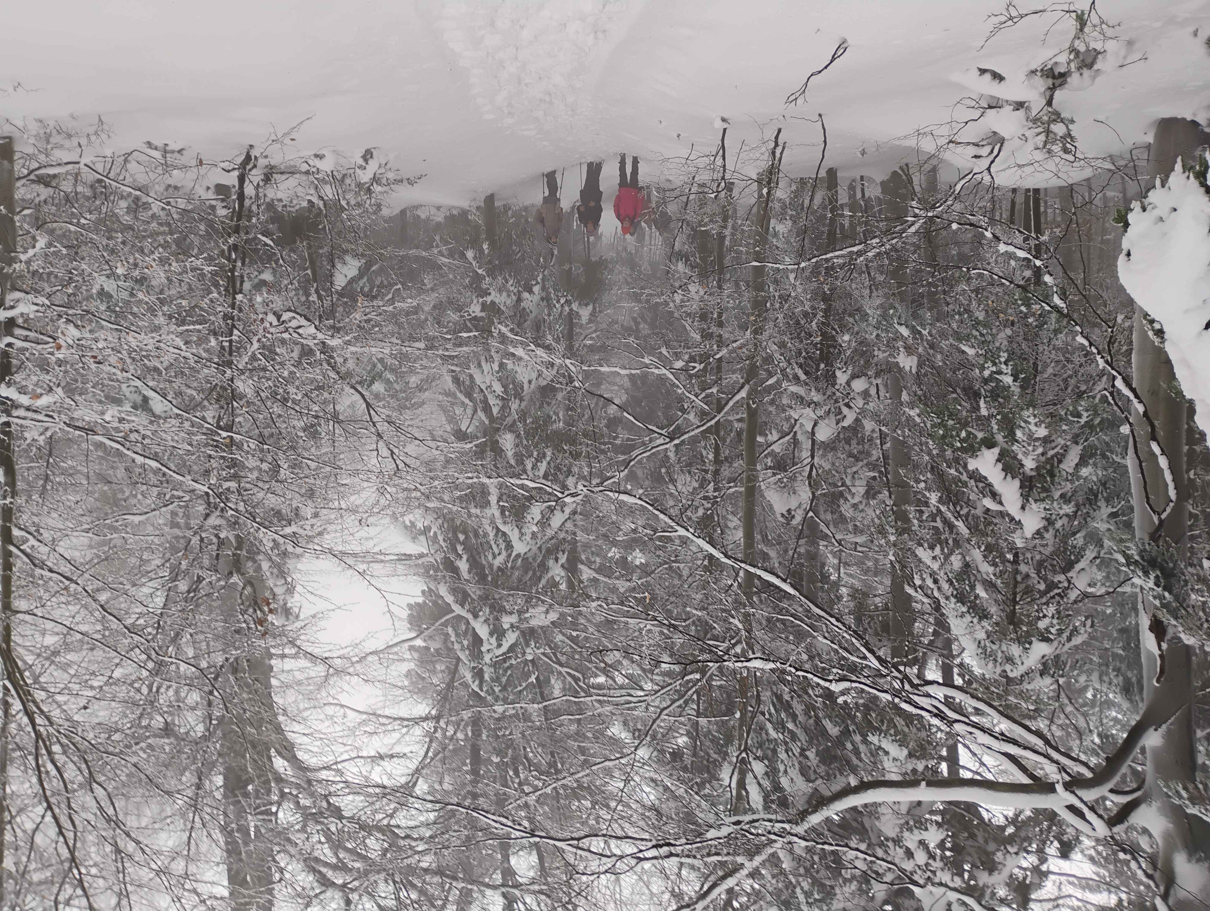 Spacer po Beskidzie Małym – Kocierz → Potrójna 14 stycznia 2026 r.