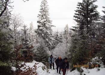 Plan wycieczek turystyczno-rekreacyjnych Nieformalnej Grupy Turystów Indywidualnych